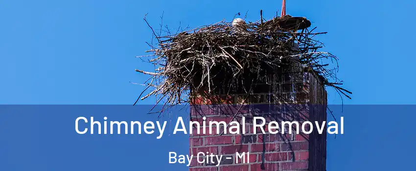 Chimney Animal Removal Bay City - MI