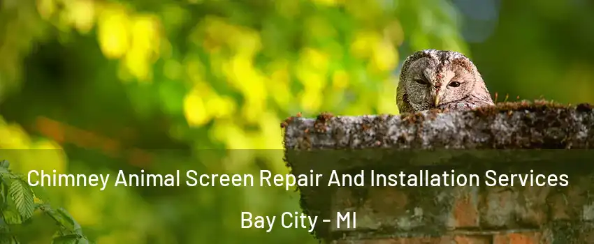  Chimney Animal Screen Repair And Installation Services Bay City - MI