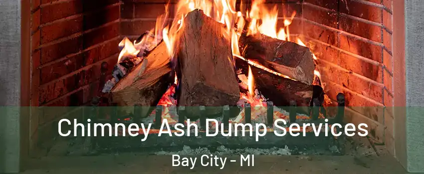  Chimney Ash Dump Services Bay City - MI