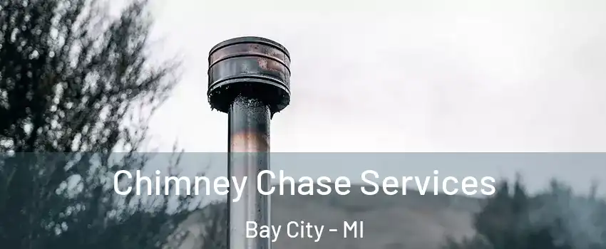  Chimney Chase Services Bay City - MI