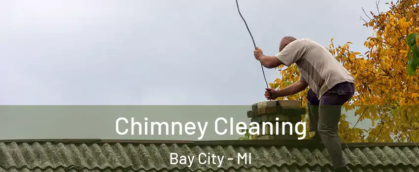  Chimney Cleaning Bay City - MI