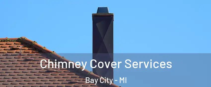  Chimney Cover Services Bay City - MI
