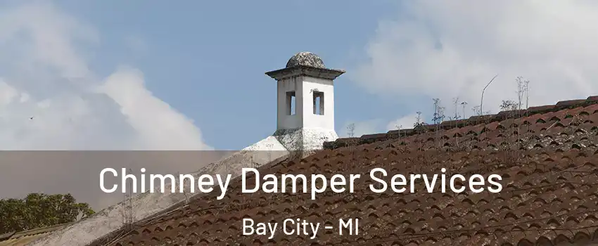  Chimney Damper Services Bay City - MI