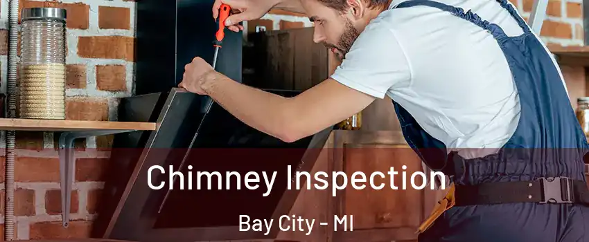  Chimney Inspection Bay City - MI
