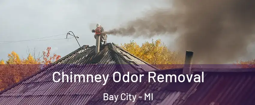  Chimney Odor Removal Bay City - MI