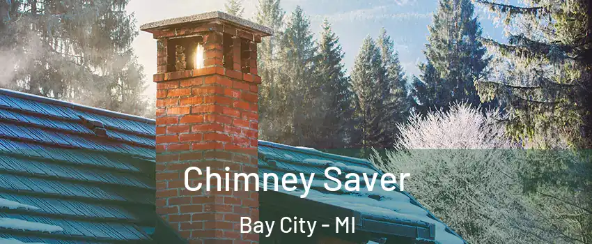  Chimney Saver Bay City - MI