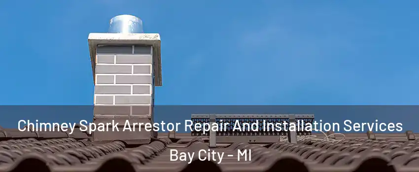  Chimney Spark Arrestor Repair And Installation Services Bay City - MI