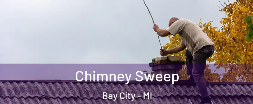  Chimney Sweep Bay City - MI
