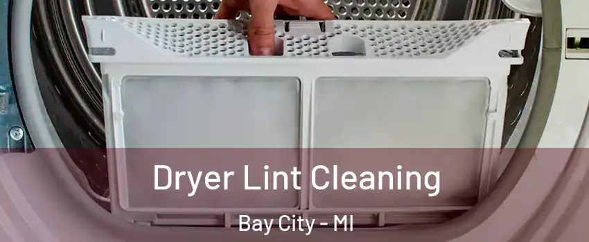 Dryer Lint Cleaning Bay City - MI