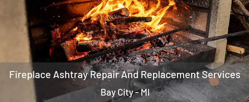 Fireplace Ashtray Repair And Replacement Services Bay City - MI