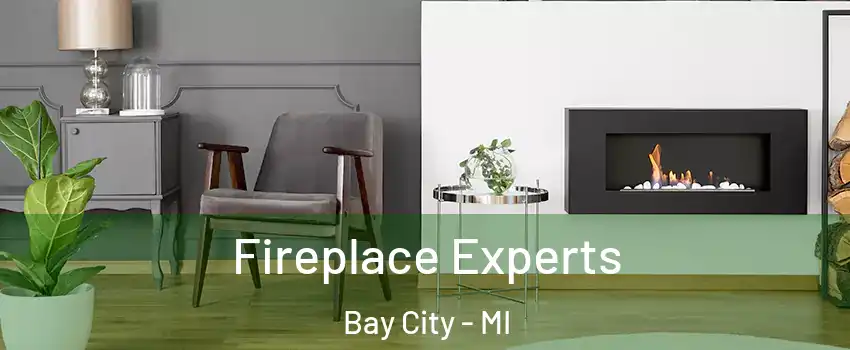  Fireplace Experts Bay City - MI