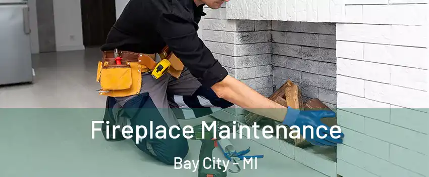  Fireplace Maintenance Bay City - MI