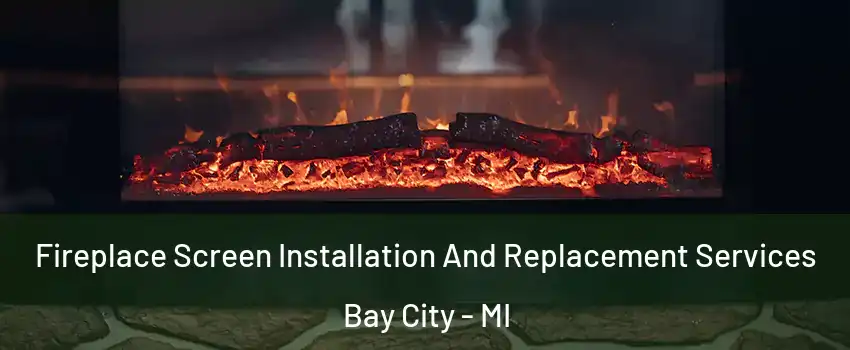  Fireplace Screen Installation And Replacement Services Bay City - MI