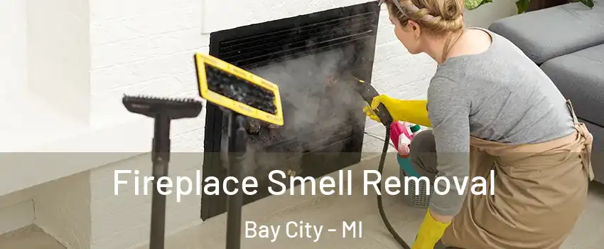  Fireplace Smell Removal Bay City - MI