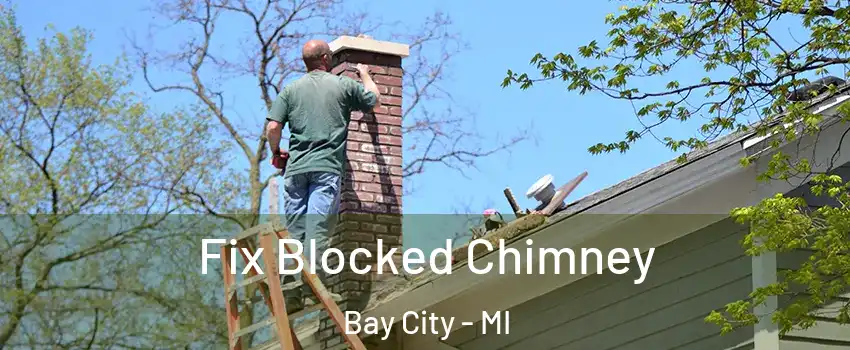  Fix Blocked Chimney Bay City - MI