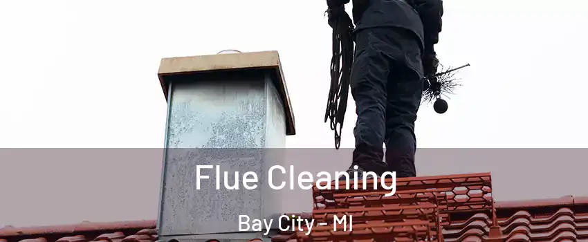  Flue Cleaning Bay City - MI