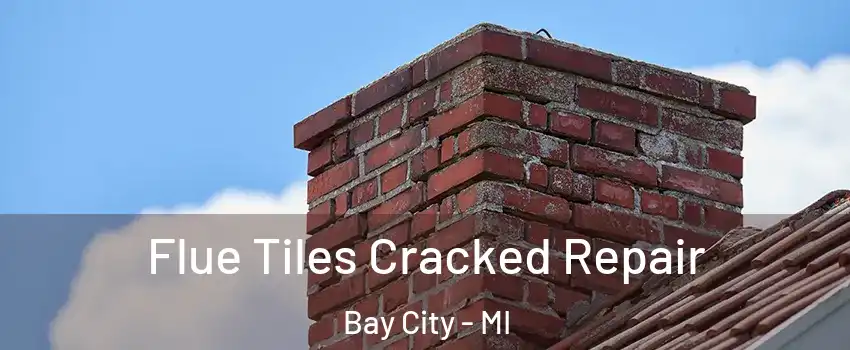  Flue Tiles Cracked Repair Bay City - MI