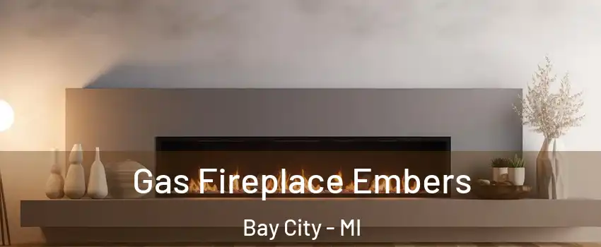  Gas Fireplace Embers Bay City - MI