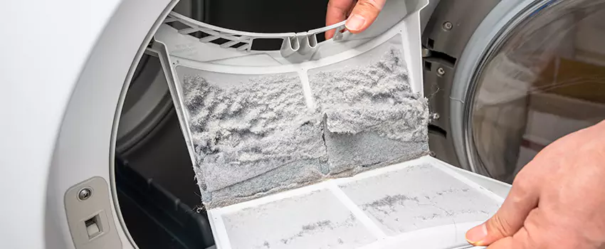 Best Dryer Lint Removal Company in Bay City, Michigan