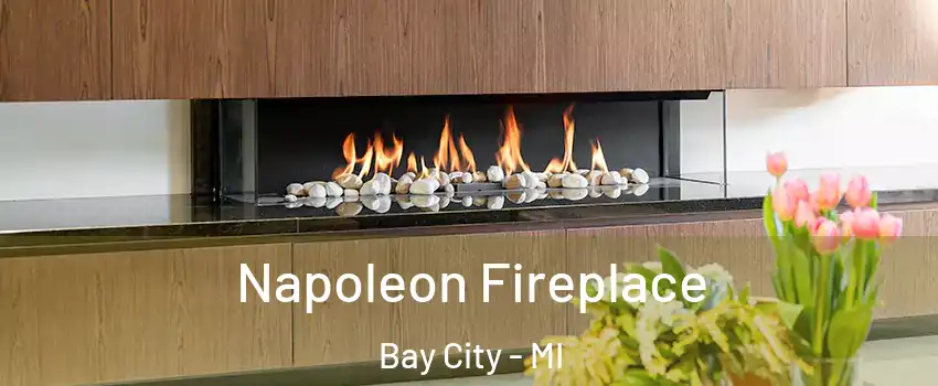  Napoleon Fireplace Bay City - MI