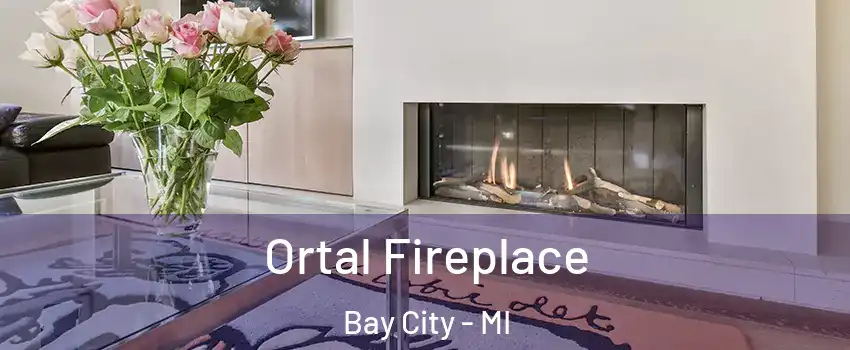 Ortal Fireplace Bay City - MI